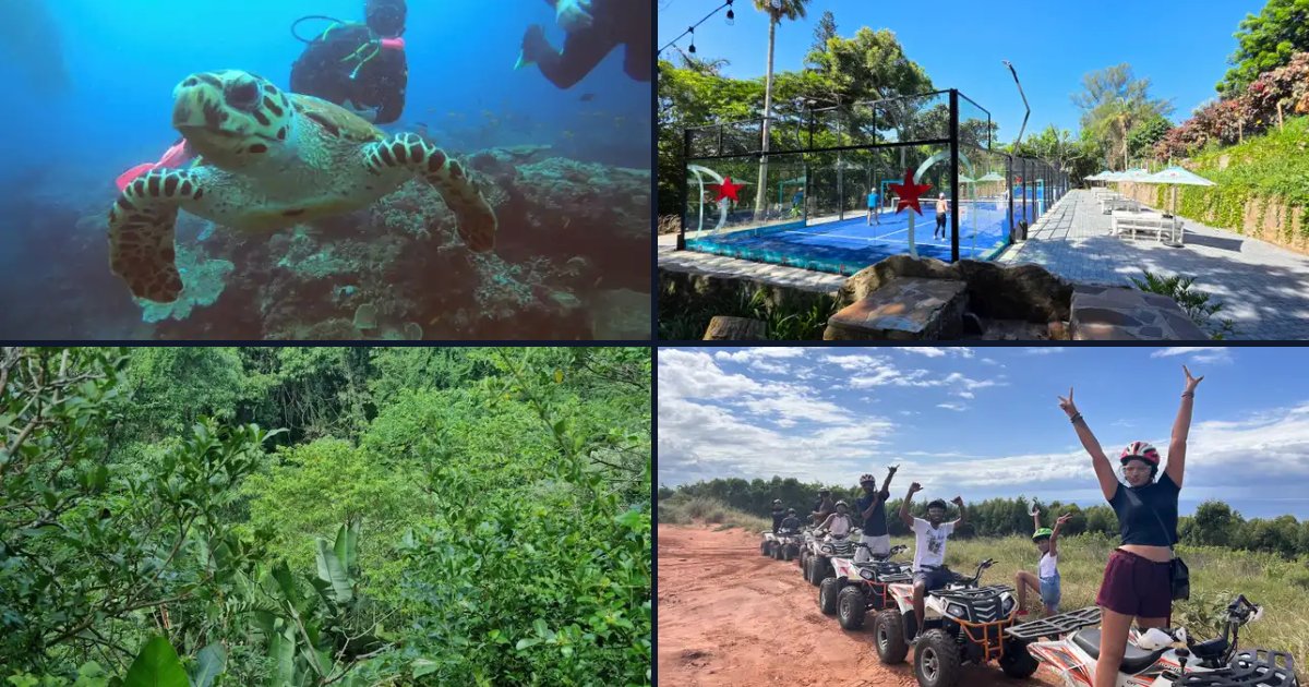 North Coast Experiences