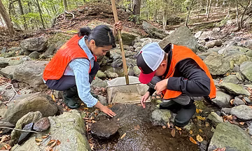 Macroinvertebrate (River Bug) Survey
