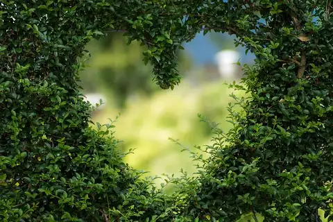 Sacred Heart of Wholeness: A Breathwork Journey for Inner Presence, Emotional Alchemy & Authentic Living