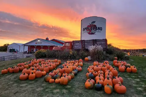 Fall Festival & Pumpkins