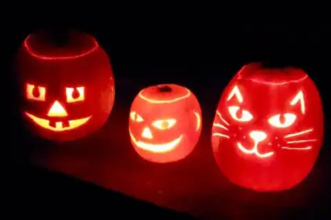Jack-O-Lantern Jaunt