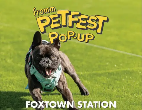 Petfest Dock Diving Pop-Up at Foxtown Station