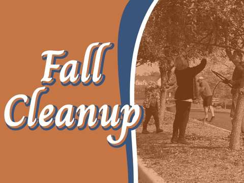 Fall Cleanup