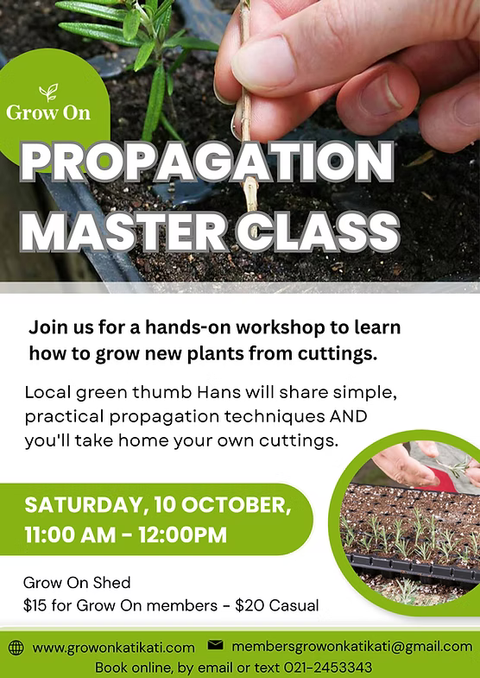 Propagation Masterclass with Hans