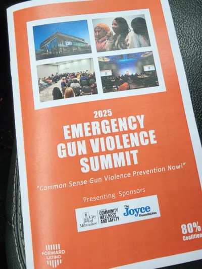 Emergency Gun Violence Summit