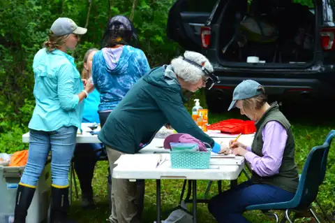 Bird Banding Demonstration in Glendale