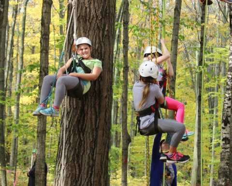 Fall Foliage Tree Climbing Festival