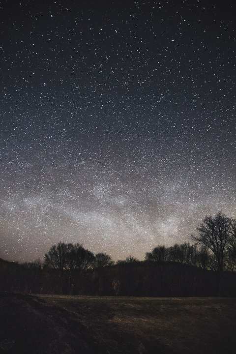 The Cosmic Zoo: Astronomy Presentation