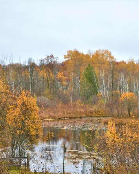 Visitor Center Closed. Trails Open Dawn to Dusk
