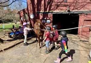 Barn Buddies Spring Season