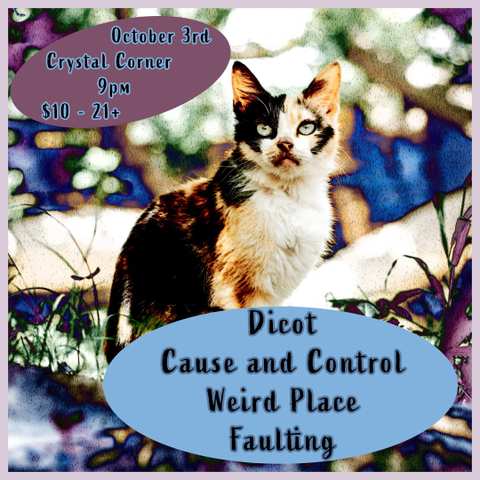 Live music with Dicot, Cause and Control, Weird Place, and Faulting