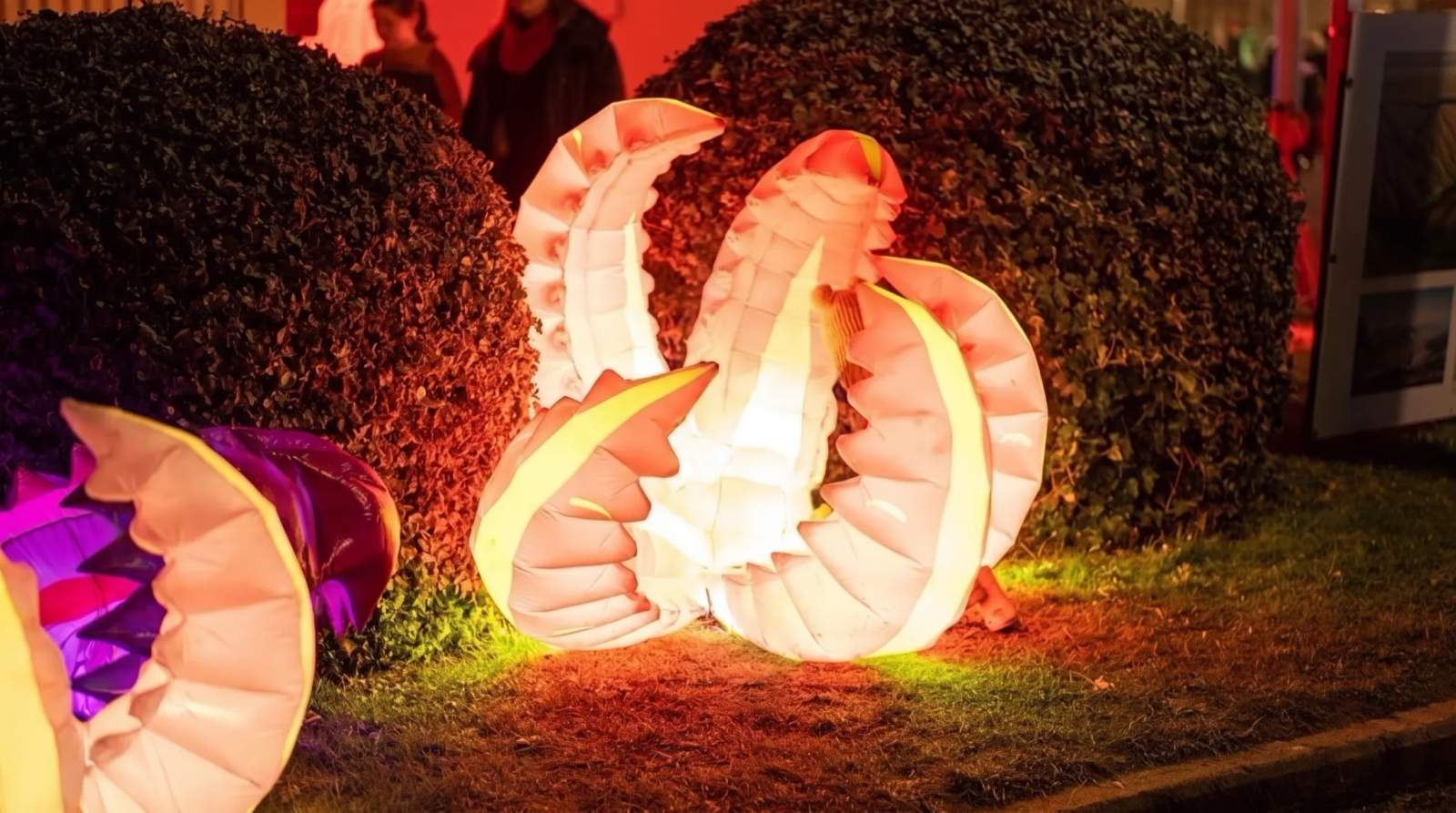 Brightly lit, abstract lantern sculptures glow with red and yellow light on the grass at night in Greytown.