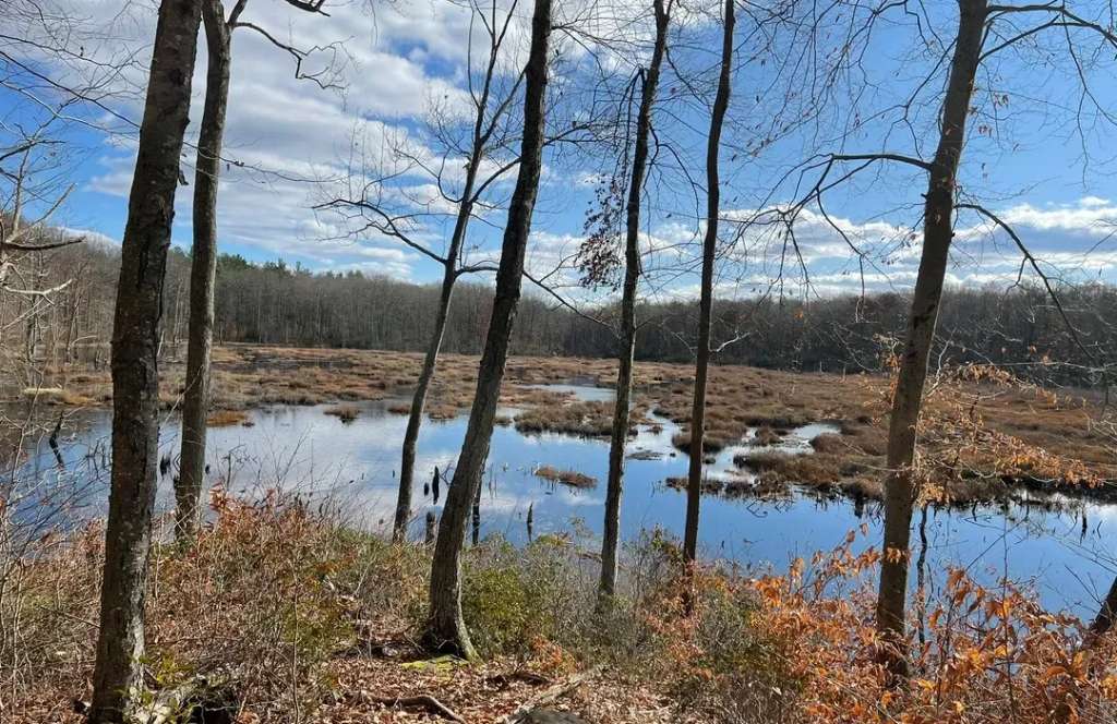 Woodbury Hiking Trails and the Six Preserves With No Sign