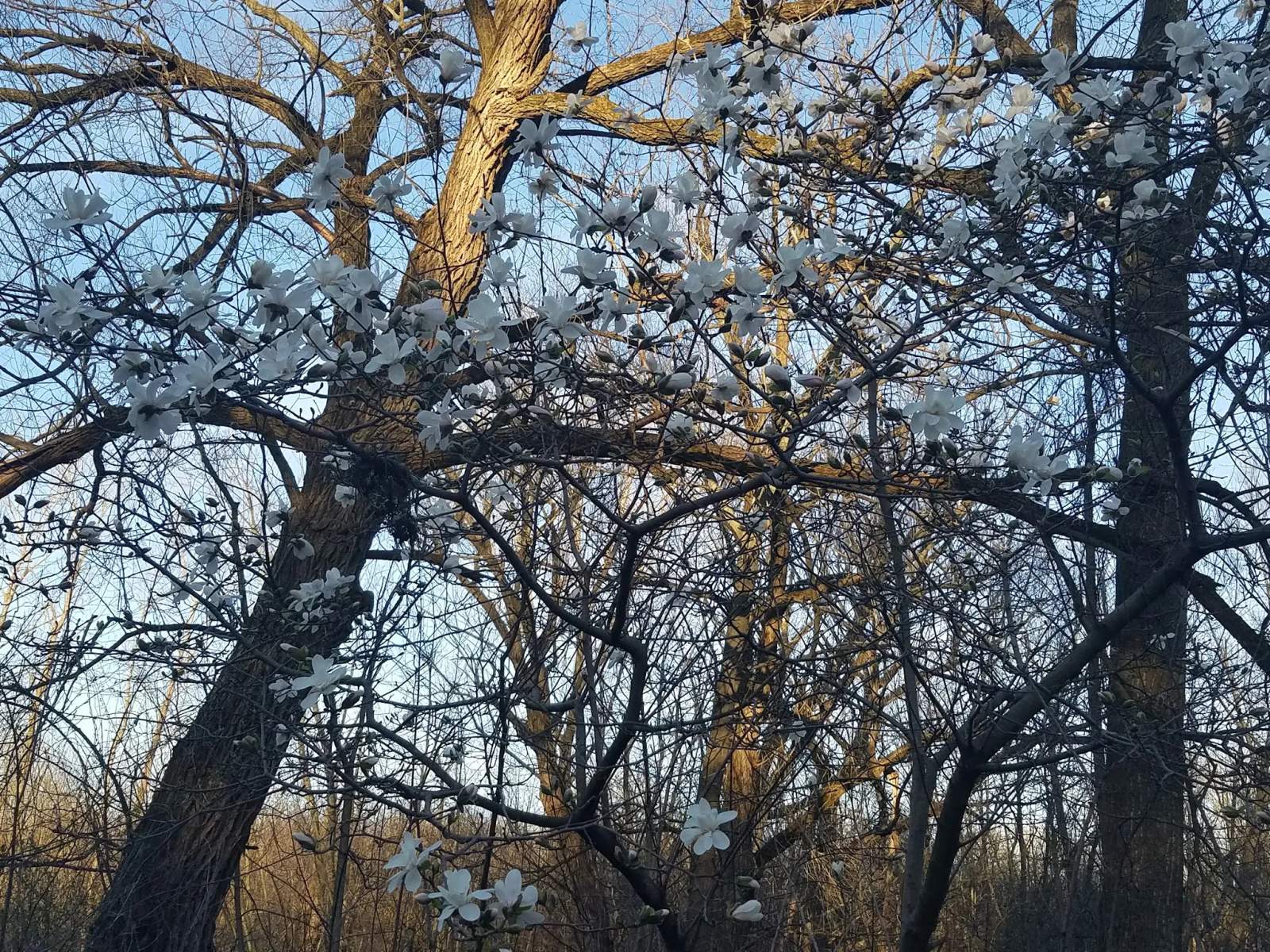 Willow Bay Nature Preserve — photo 1