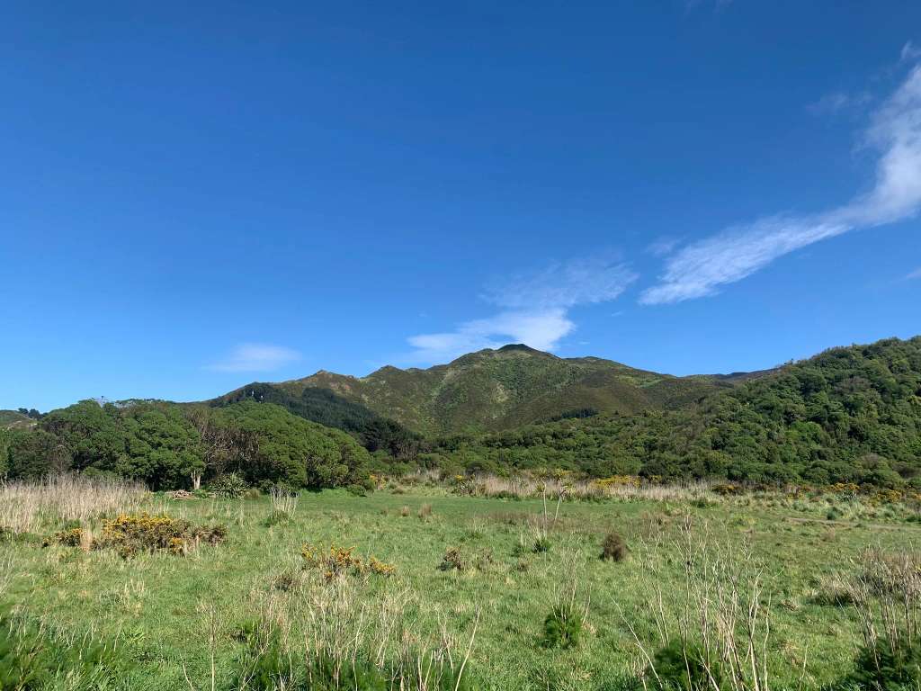Tawatawa Reserve