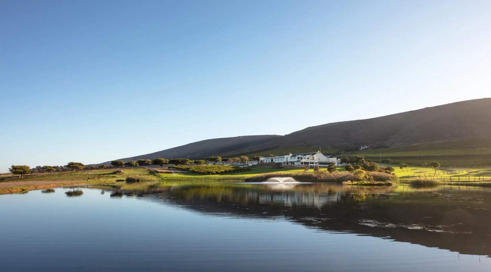 De Grendel Wine Estate and Restaurant — photo 1