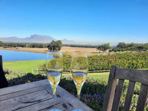 De Grendel Wine Estate and Restaurant — photo 5