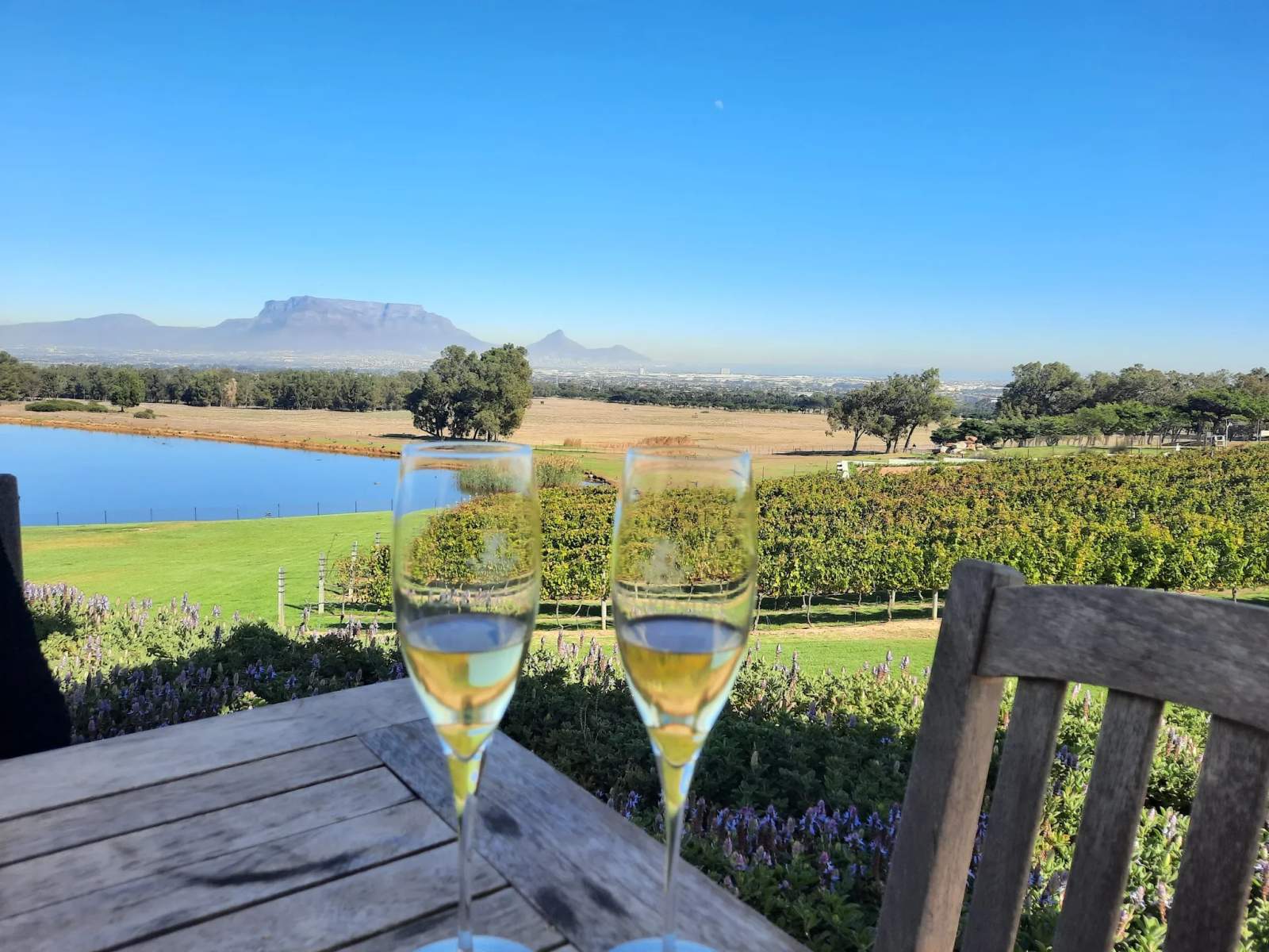 De Grendel Wine Estate and Restaurant — photo 5