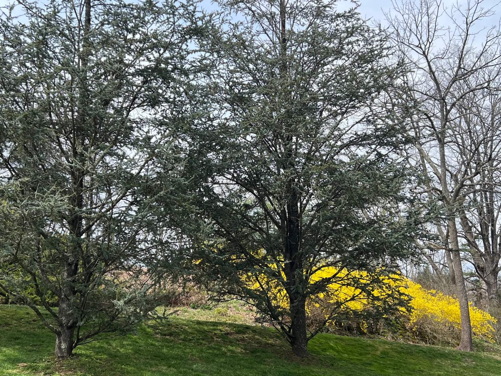 Long Meadow Landscaping — photo 1