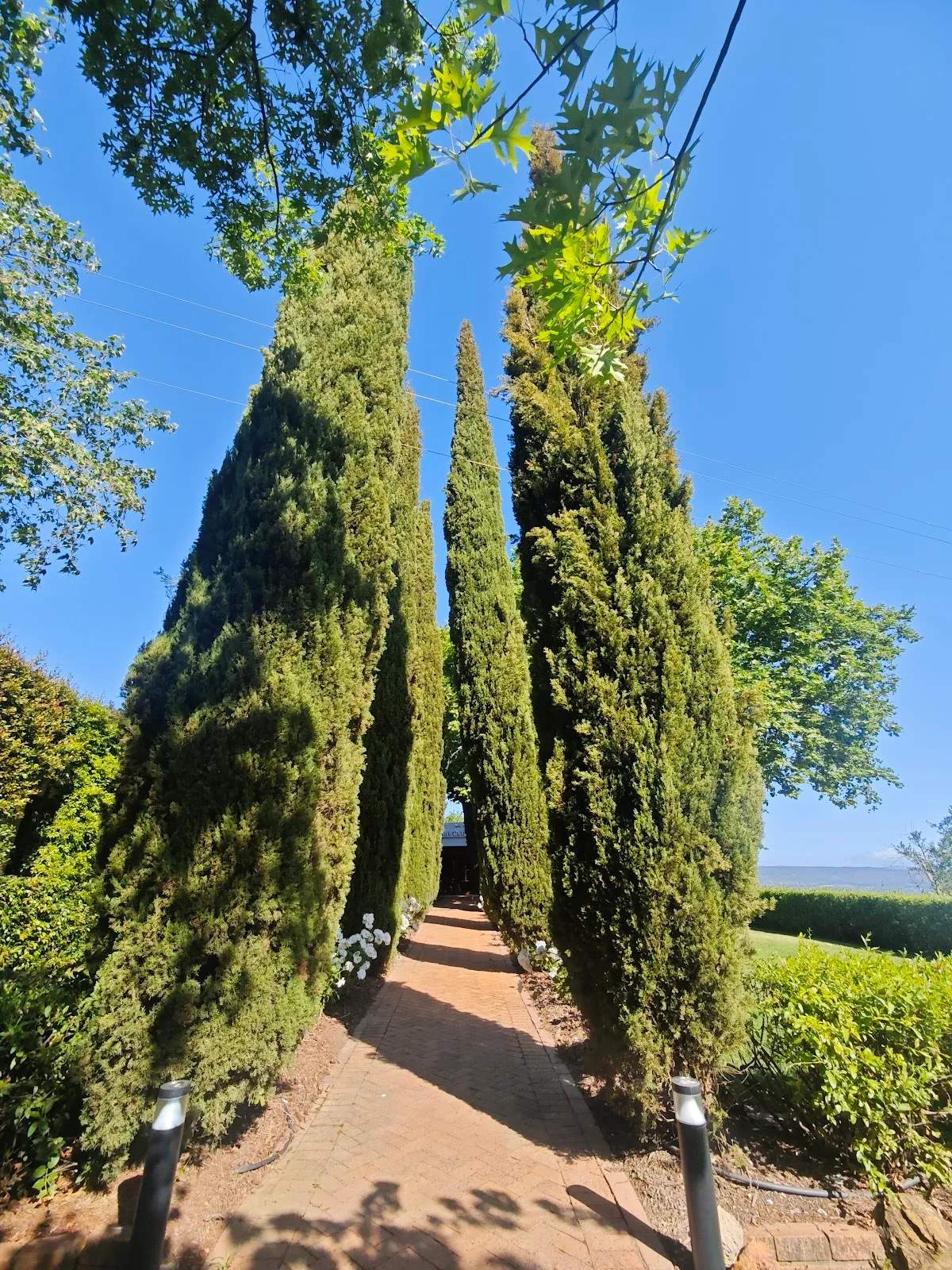 Paul Clüver Family Wines — photo 2