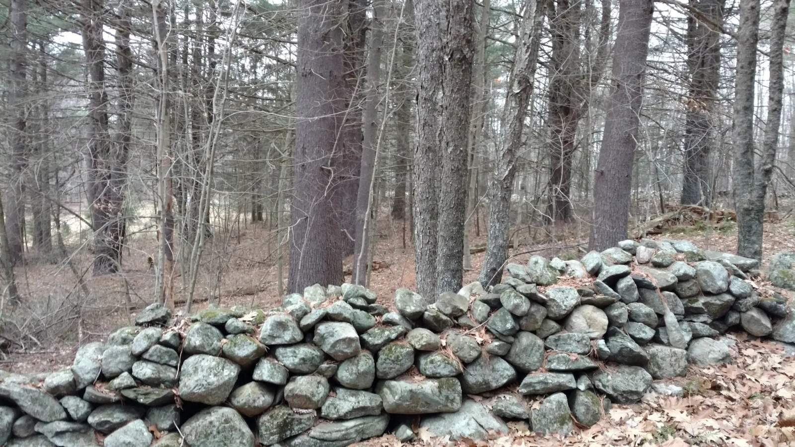 White Memorial Carriage House — photo 1