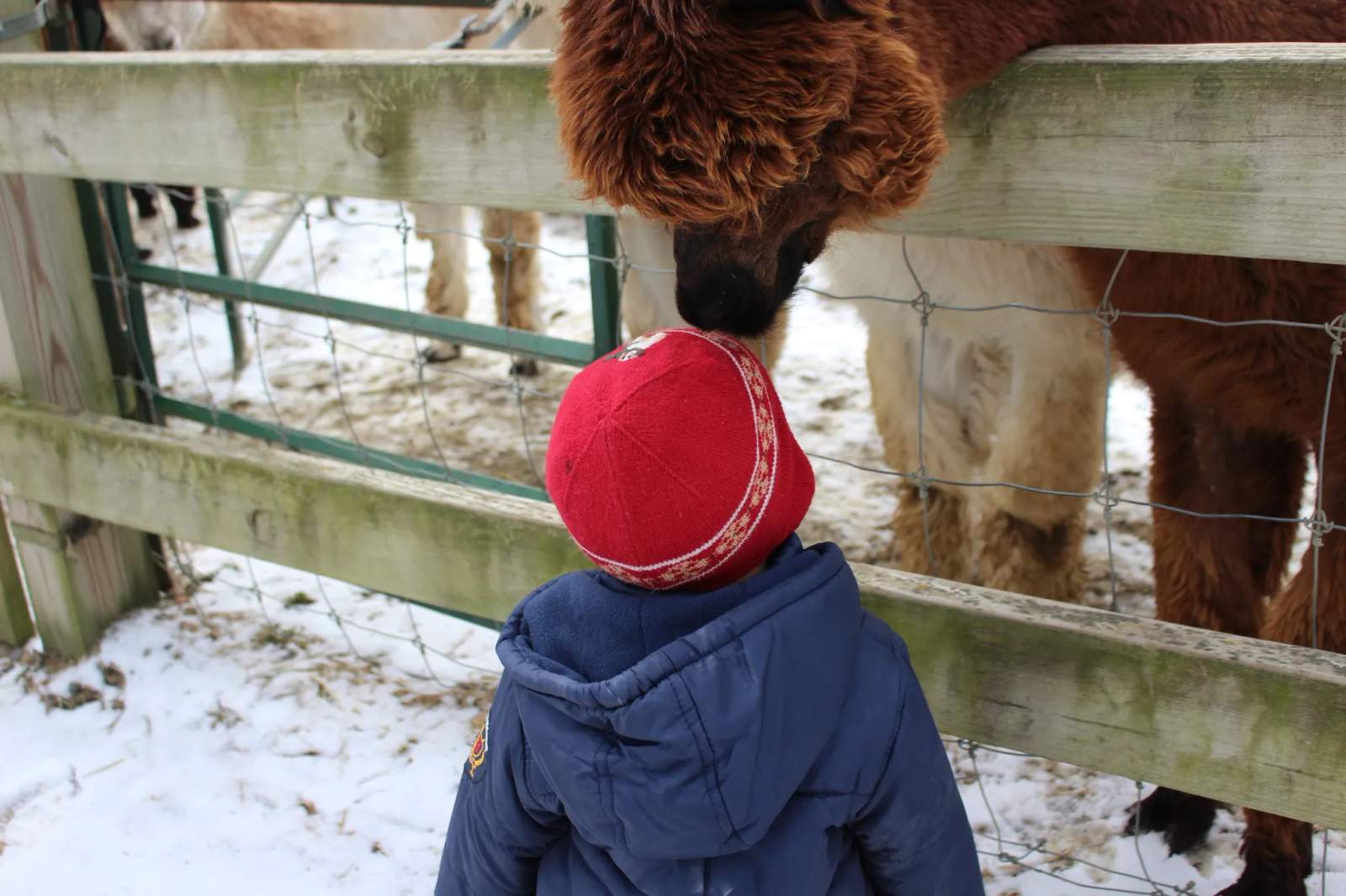 Lavender Creek Farm Llc — photo 3