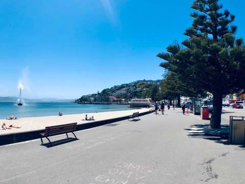 Freyberg Beach — photo 2