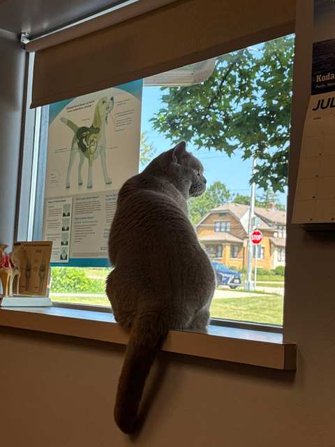 Cedarburg Veterinary Clinic — photo 3
