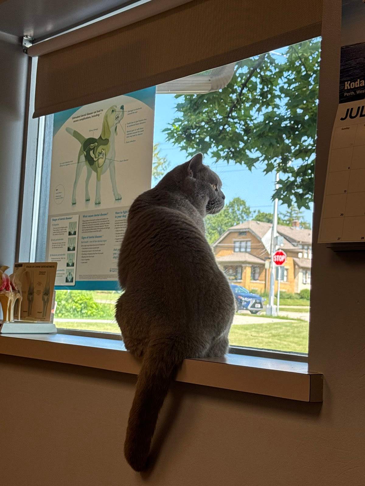 Cedarburg Veterinary Clinic — photo 3