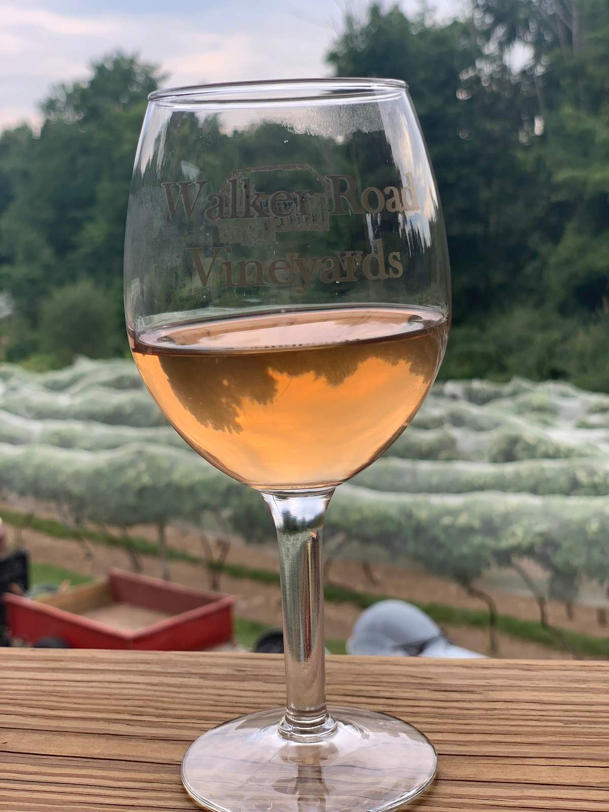 Walker Road Vineyards LLC — photo 3