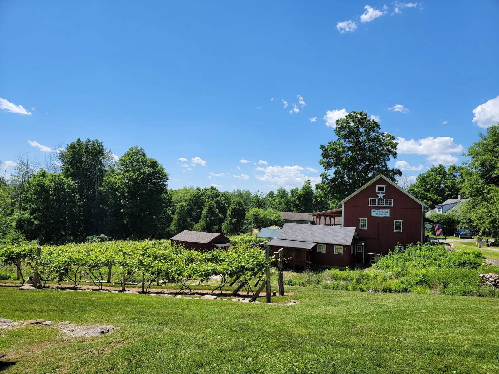 Walker Road Vineyards LLC — photo 1