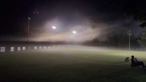Batavia Ball Diamond — photo 3