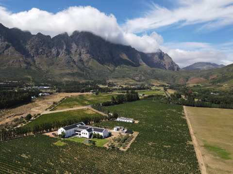 Holden Manz Wine Estate — photo 2