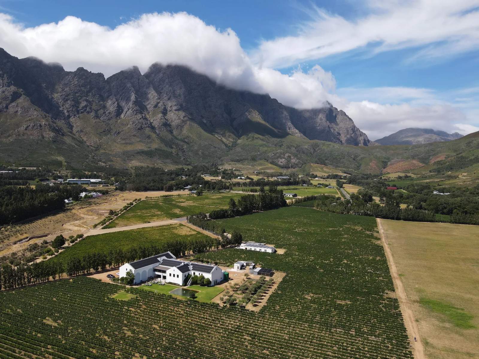 Holden Manz Wine Estate — photo 2