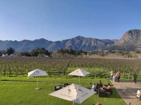 Holden Manz Wine Estate — photo 3