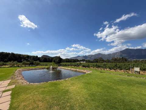 Holden Manz Wine Estate — photo 5