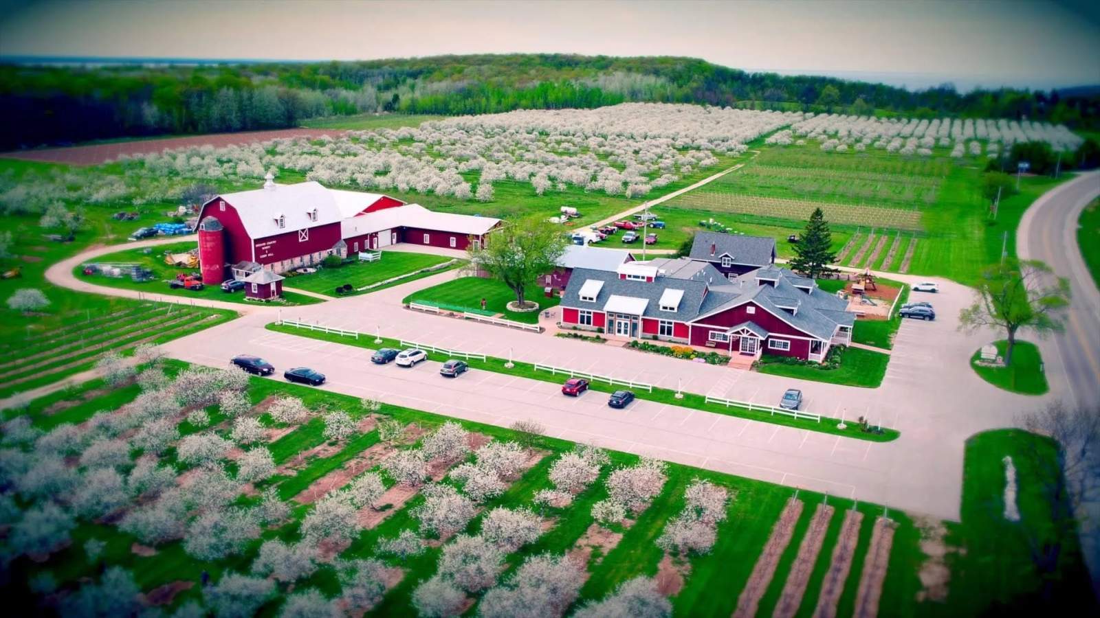 Lautenbach's Market, Winery & Cider Co — photo 1