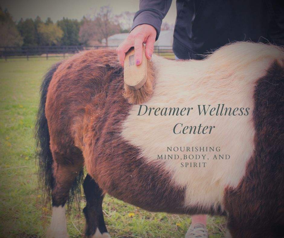Dreamer Wellness Center — photo 2