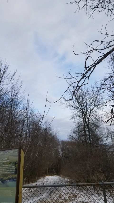 Pigeon River Park — photo 2