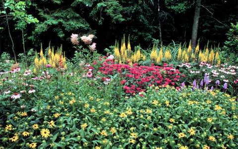 Flagstone Landscaping — photo 2