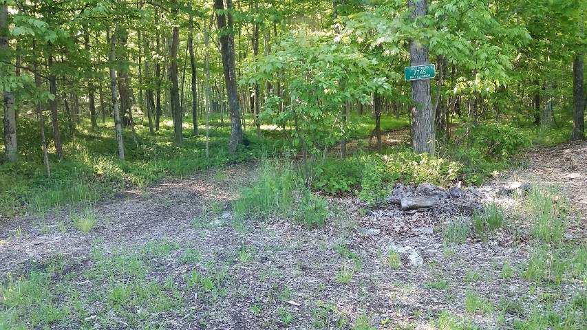 Immanuel Woods (part of Immanuel Lutheran Church) — photo 1