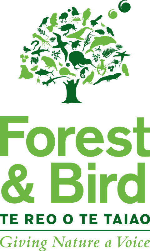 Forest & Bird — photo 3