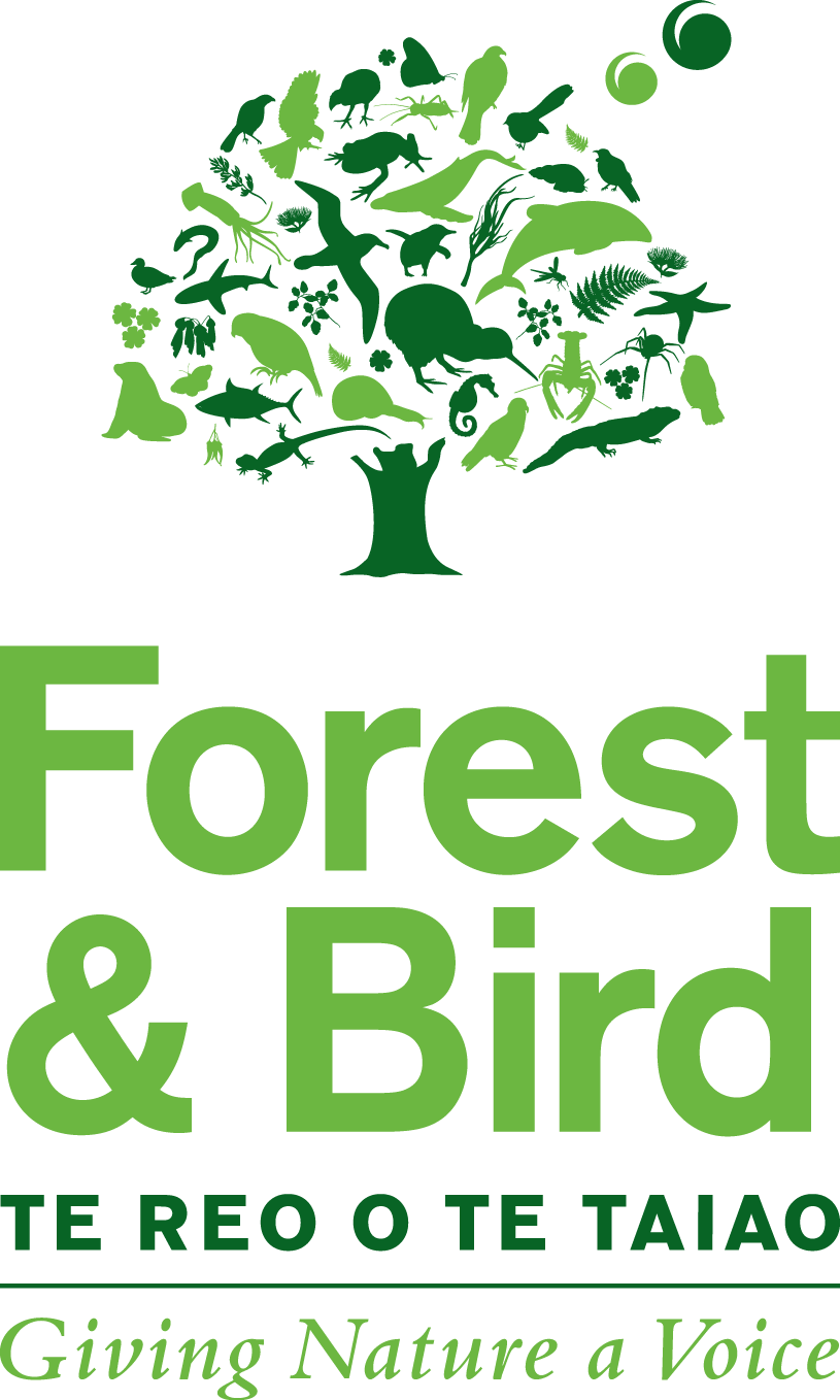 Forest & Bird — photo 3