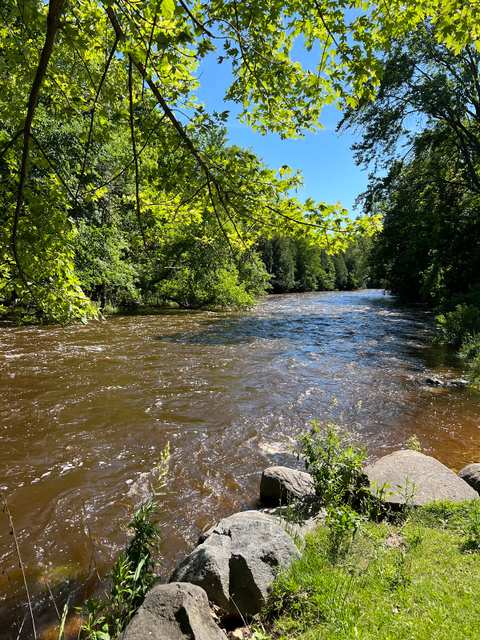 Lime Kiln Park — photo 4