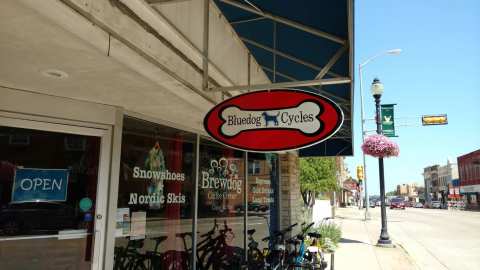 Bluedog Cycles — photo 3