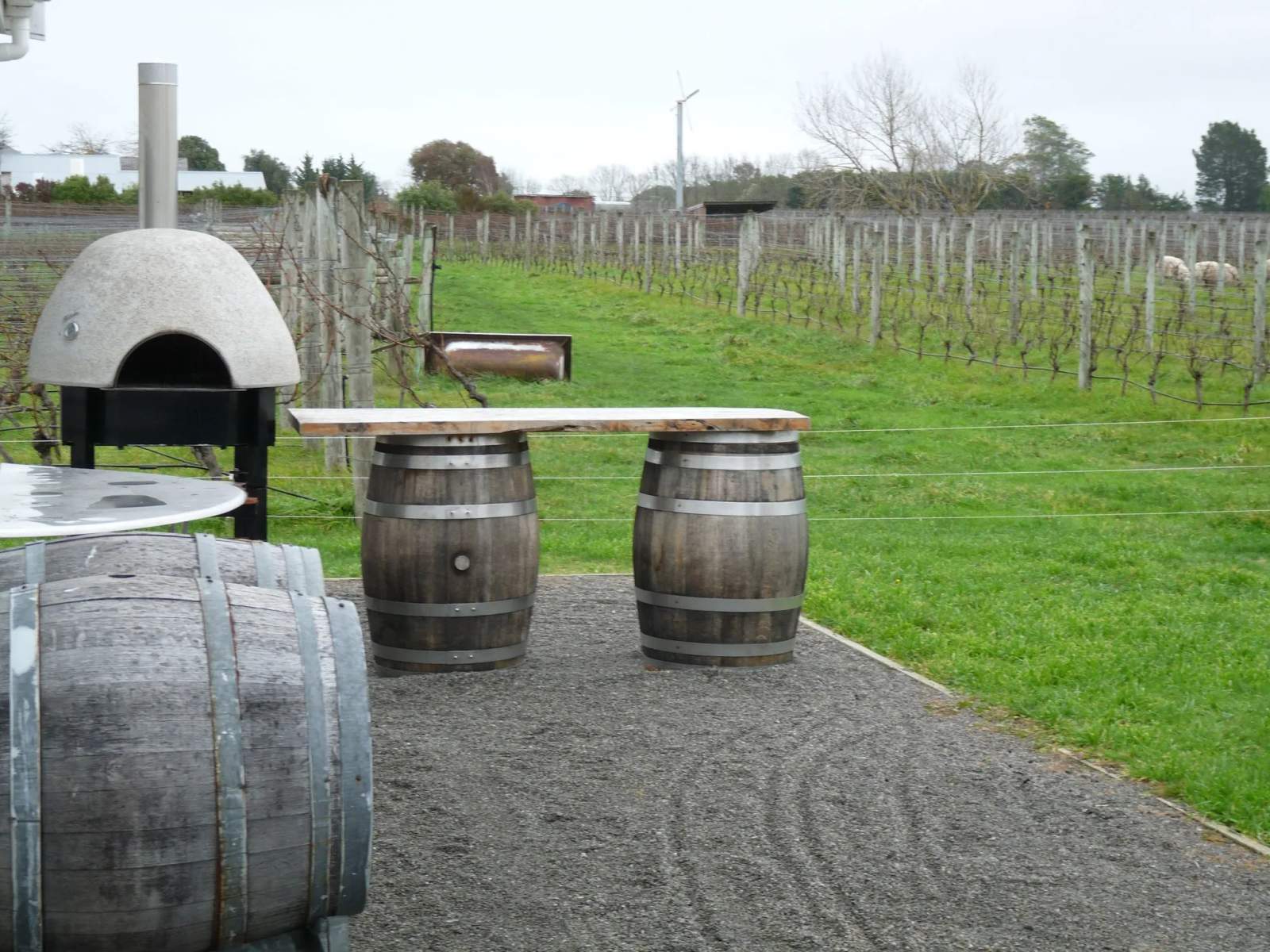 Schubert Wines — photo 3