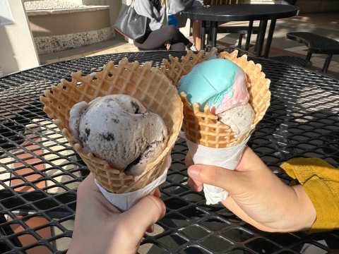 The Mint Fox Cookies & Ice Cream — photo 3