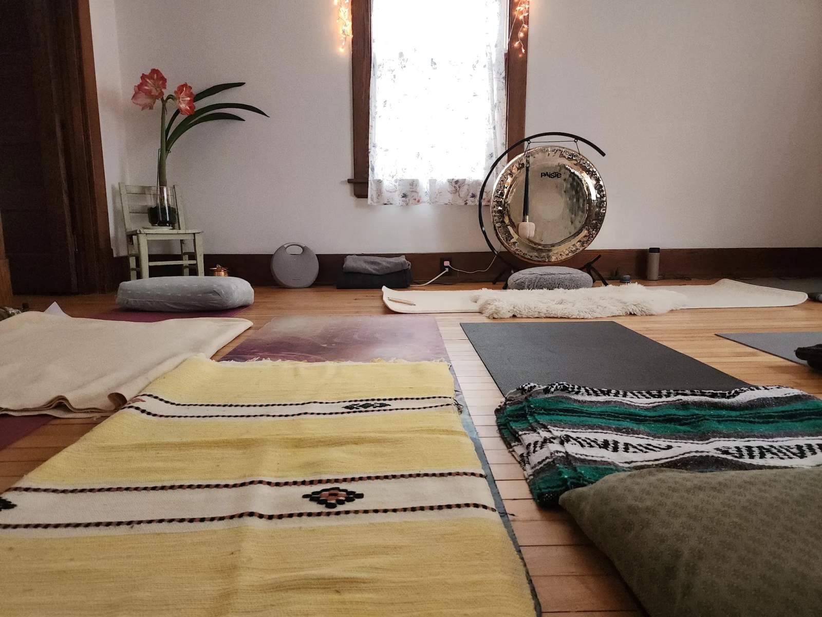 Hidden Lion Healing Arts — photo 3