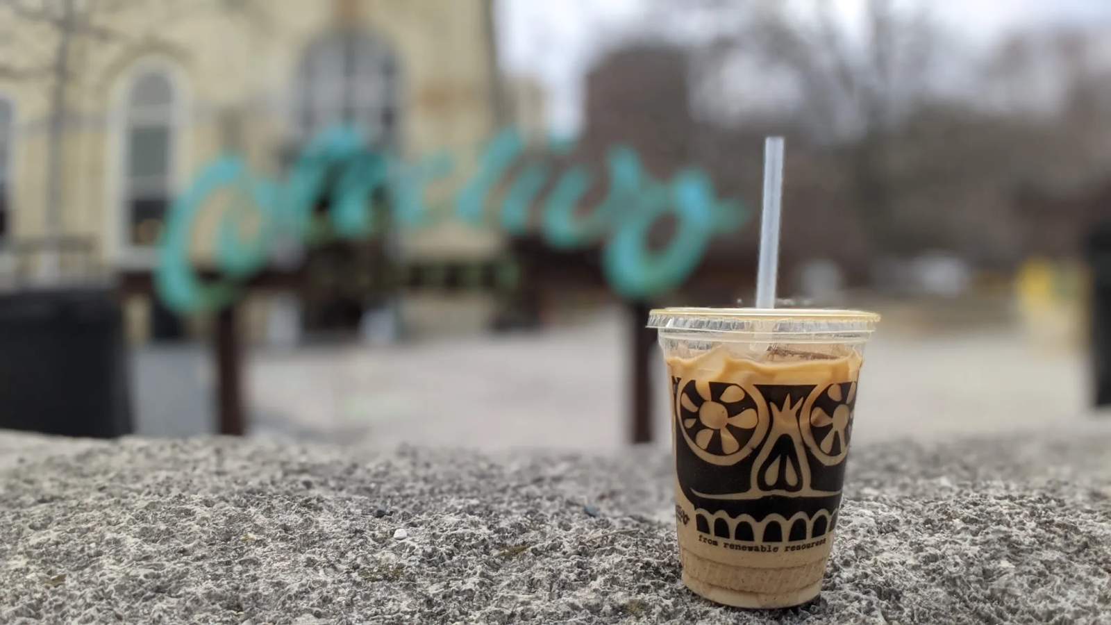 Colectivo Coffee Lakefront — photo 2