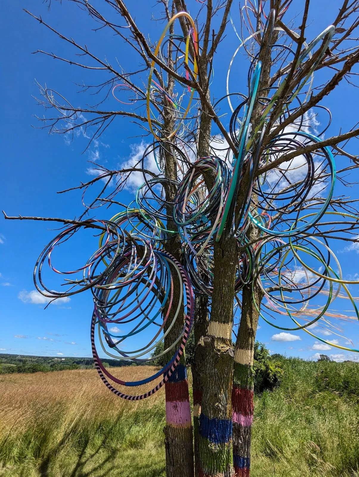 Hula Hoop Tree — photo 1